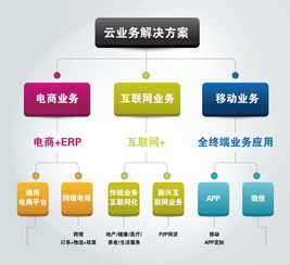 大数据 驱动未来的核心服务与价值革命