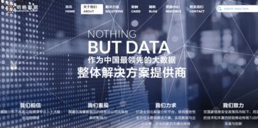 明略数据 迈向中国大数据分析应用解决方案独角兽的征途